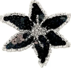 Sort/sølv paliet stjerne hårclips